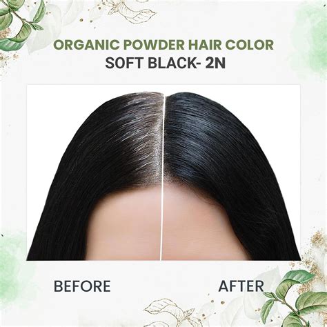Quikhenna 100% Organic Powder Hair Color- 120 Gm- 2N Soft Black ...