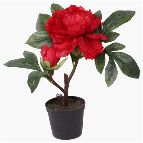 Buy Peony Ceramic Potted Plant from Home Centre at just INR 295.0