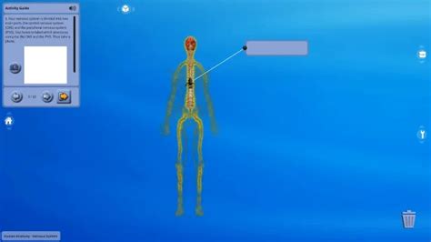 Image result for Create Minecraft Human Nerve System