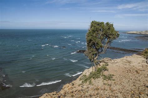 Coast 的图像结果