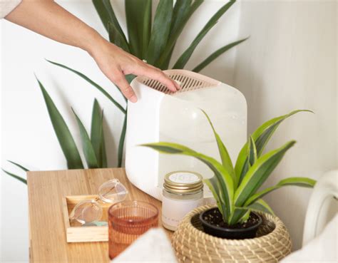Image result for Mini Canopy Humidifier