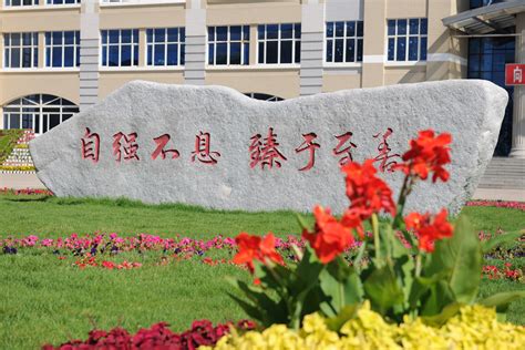 黑龙江大庆外国语学校，2022届高考送考纪实|高考|大庆|学子_新浪新闻