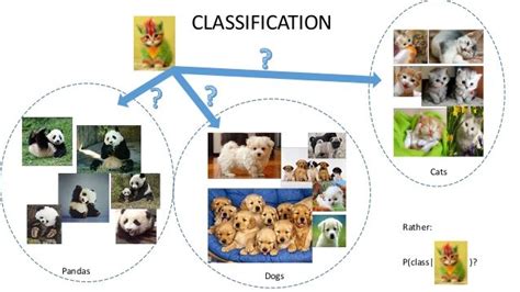 Classification Model Example 的图像结果