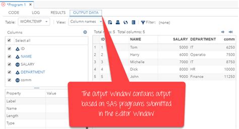 Image result for SAS Programming Tutorial