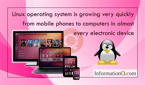 Computer Operating Systems Linux 的图像结果