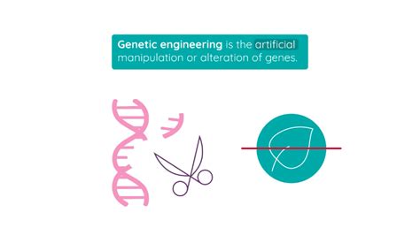 Image result for Define Genetic Engineering