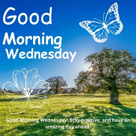 Wednesday Morning Images Happy New Week Quotes Stock Photos Free