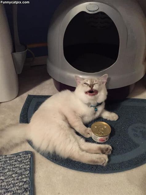 Image result for Please Open