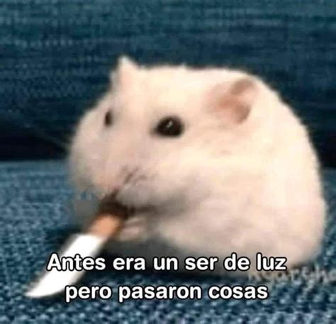 Pin by Jocsani on Memes | Cute memes, Spanish memes, Meme stickers