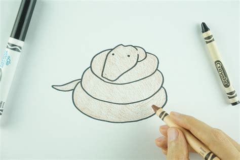 Image result for Python Draw