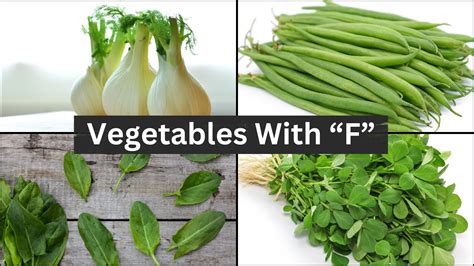 33 Vegetables that Start with Letter "F" - Mothers Always Right