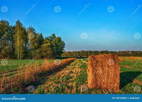 Haystack 的图像结果