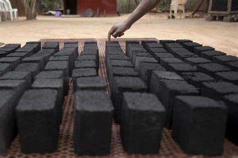 Kenya bets on carbon credits as it hosts climate summit