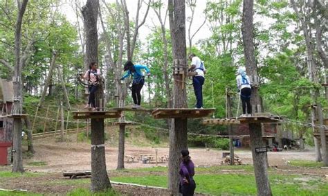 Pocono TreeVentures (East Stroudsburg) - 2022 What to Know Before You ...