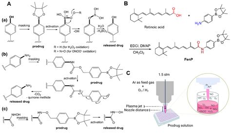 Cold Physical Plasma-Mediated Fenretinide Prodrug Activation Confers ...