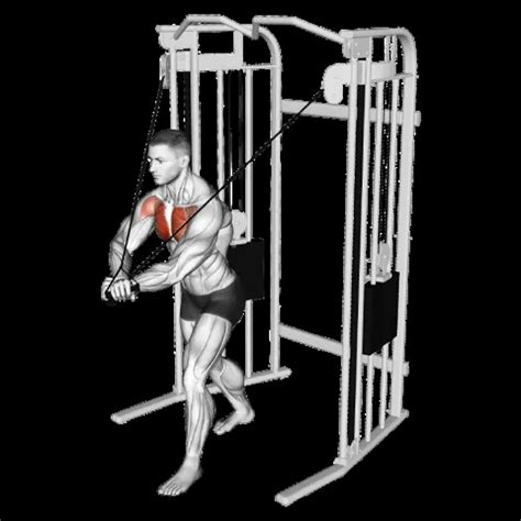 High Cable Chest Fly: Guide, Muscles Worked, Tips | Athlemove