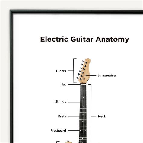 Guitars Anatomy Parts Of An Electric Guitar Coustii Yamaha