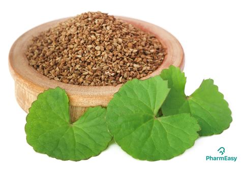 Ajwain: Benefits, Uses, Side Effects, and More - PharmEasy Blog