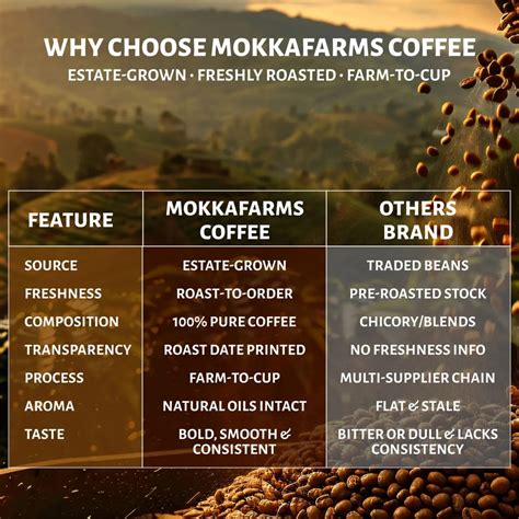Signature | 60% Arabica, 40% Robusta | Pure Filter Coffee, No Chicory ...