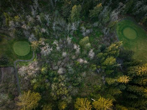 Hole 1 at The Mook at Alderbrook Golf Course Tillamook