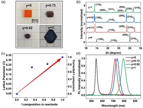 Charge Carrier Recombination Dynamics in MAPb(Br1−yIy)3 Single Crystals