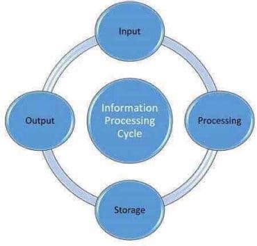 Image result for Information Processing in Computer
