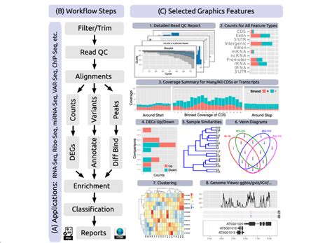 Graphical Workflow 的图像结果