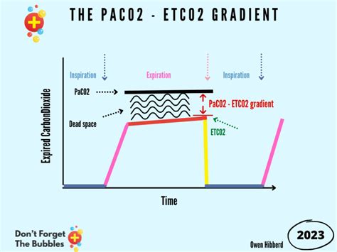 Image result for PCO2 Gradient