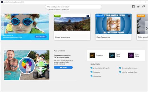 Image result for Adobe Elements 18 Tutorial
