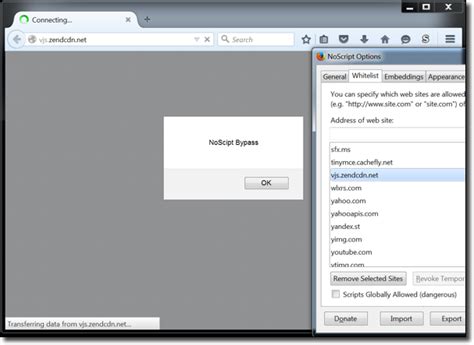 Netless Bypass Script 的图像结果