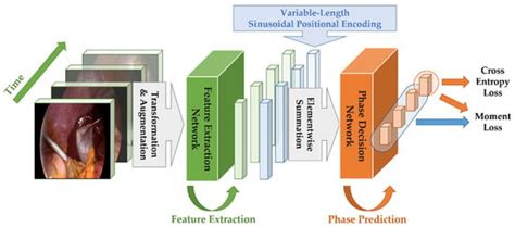Multi-Stage Temporal Convolutional Network with Moment Loss and ...
