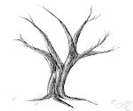 Image result for Remove in List Python