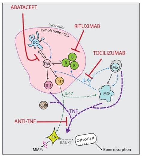 Using the Immunophenotype to Predict Response to Biologic Drugs in ...