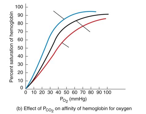 Image result for PCO2 Scale