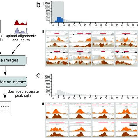 Image result for Encode Project Summary