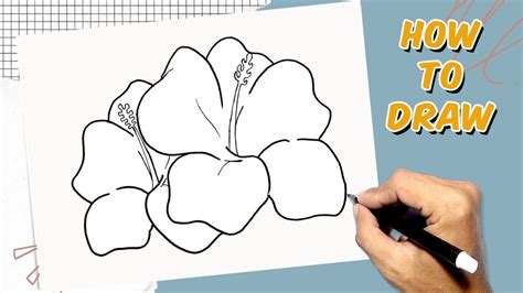 How To Draw A Simple Hawaiian Flower at Chris Henry blog
