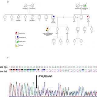 Clinic Ads 2026 March Pedigree and Confirmation Clinic