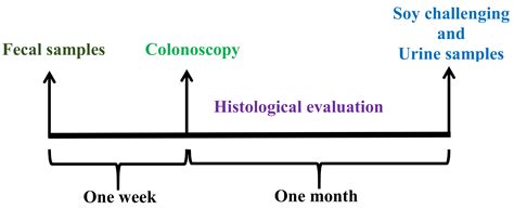Soy Metabolism by Gut Microbiota from Patients with Precancerous ...
