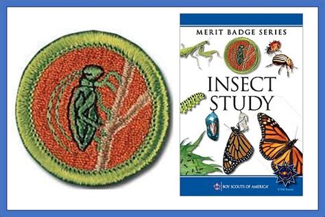 Insect Study Merit Badge Class, 6908 Belair Rd, Baltimore, MD, United ...