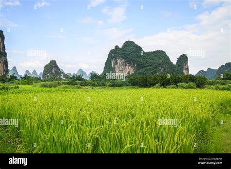 China Landscape 的图像结果