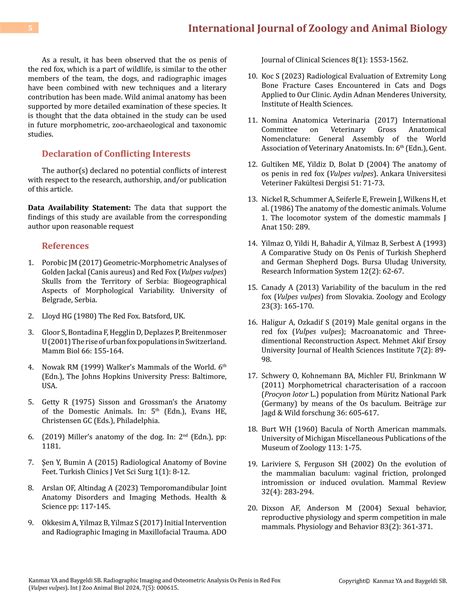 Radiographic Imaging and Osteometric Analysis Os Penis in Red Fox (Vulpes vulpes) | PDF
