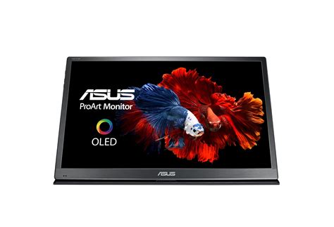Buy ASUS ProArt PQ22UC Professional Monitor , 4K (3840x2160), OLED, 99% ...