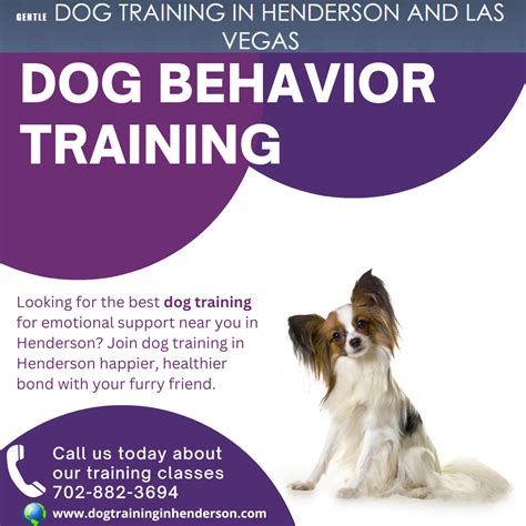 Unleashing the Best: Dog Training in Henderson | by Dogtraininginhenderson | May, 2024 | Medium