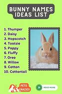 Image result for Pink Bunny Names