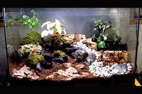 爬虫類 レイアウト用品セット売り 国内即発送 - レイアウト用品