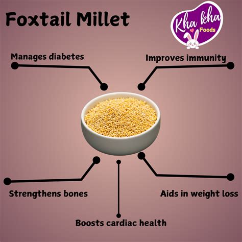Buy Foxtail Millet Online – Gluten-Free, High Fiber, Protein-Rich – Kha ...