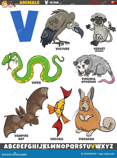 Animals That Start With The Letter V