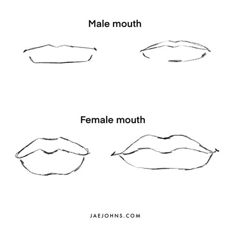 How to Draw a Face like a Pro Step by Step