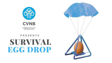 Successful Egg Drop Designs