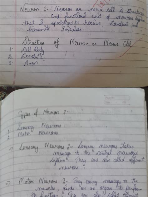 Image result for Control and Coordination Class 12